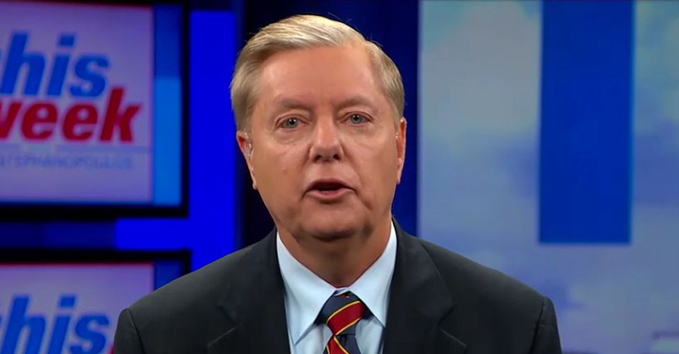 Sen. Lindsey Graham Calls for Investigation of Democrats