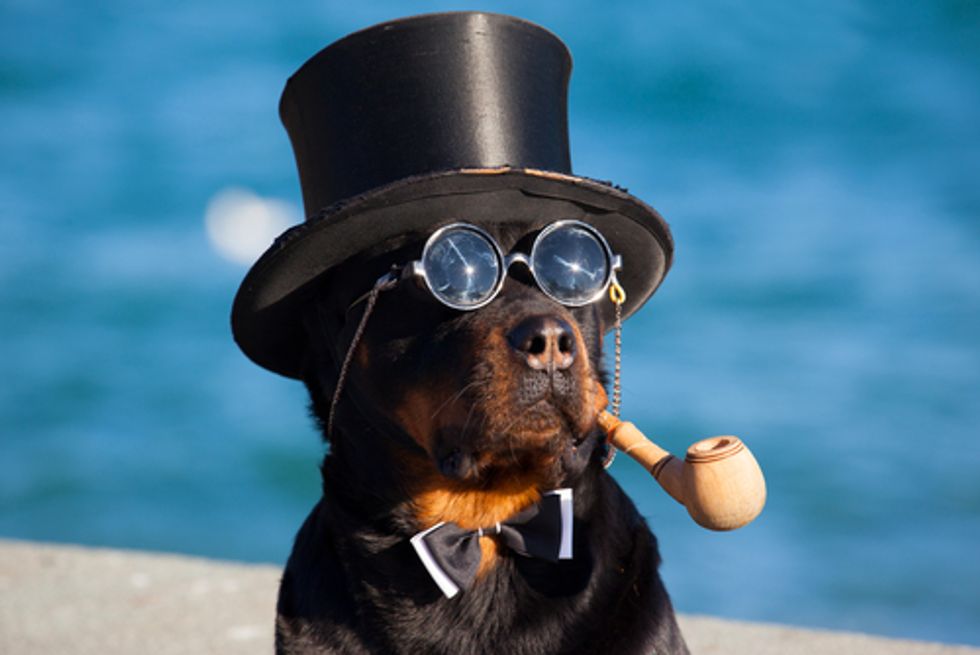 Could the $70 Billion Americans Invest Annually in Their Pets Be Better Spent?