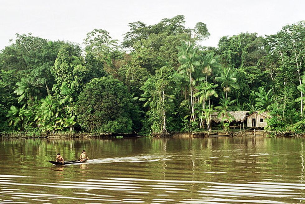 The New Brazilian President Could Wreak Destruction on the Amazon Rainforest