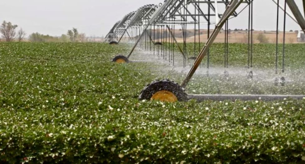 Farmers Are Drawing Groundwater From the Giant Ogallala Aquifer Faster Than Nature Replaces It