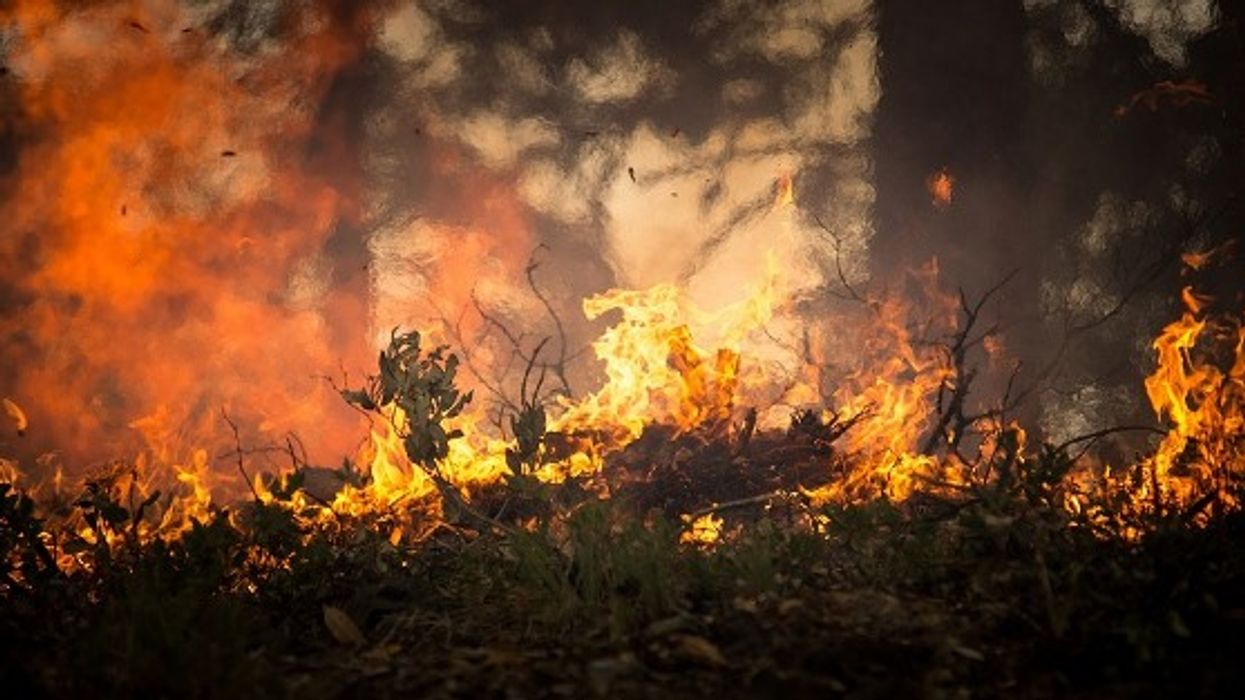 Trump supporter who accused Antifa of burning down his camper admits the plot was staged: DOJ
