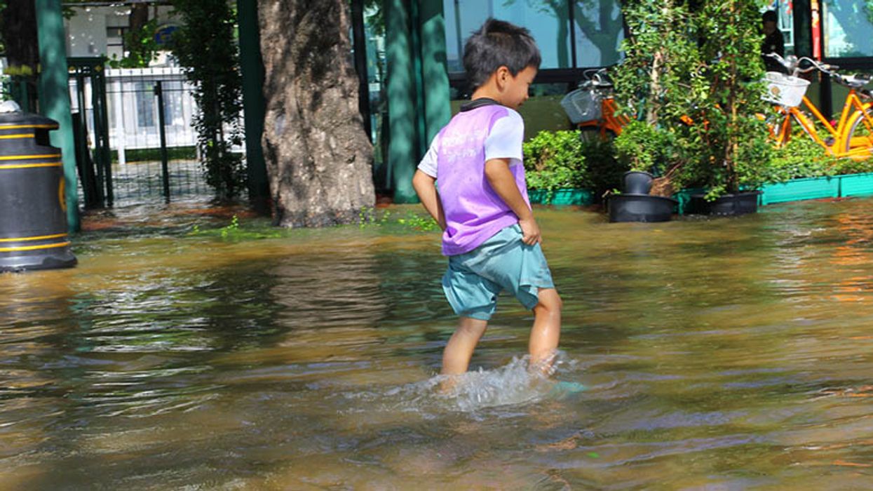 Chris Hedges: Ruling elites are 'architects of social murder' — 'they cannot claim ignorance, only indifference'