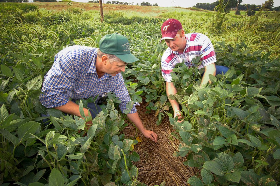 'Trump money': Americans appear unconcerned as trade war makes US farmers desperately reliant on billions in government assistance