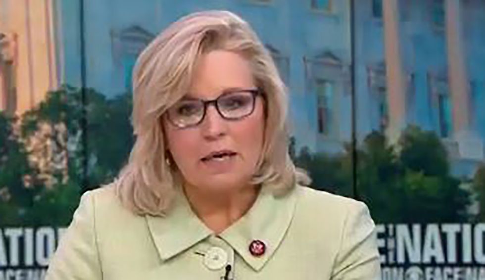 Liz Cheney panned for bemoaning grizzly bear protections championed by indigenous groups because they're 'destroying our western way of life'