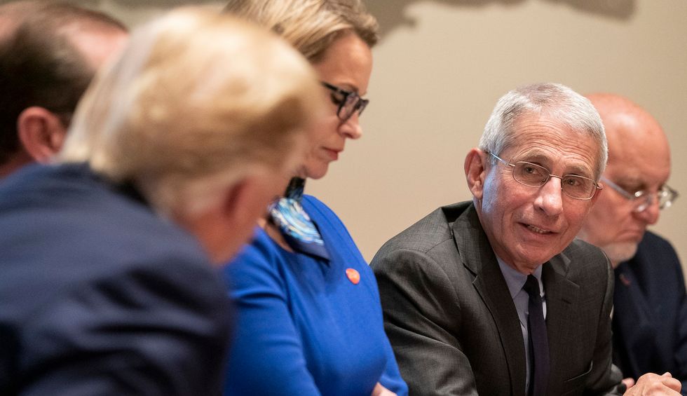 'Trump is furious': New report finds the president is on a 'collision course' with his top coronavirus expert