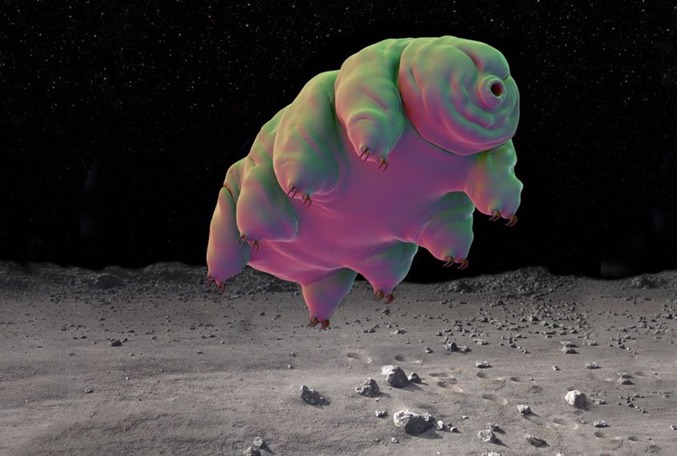 Infested Moons Private Israeli spacecraft may have contaminated the Moon - Alternet.org