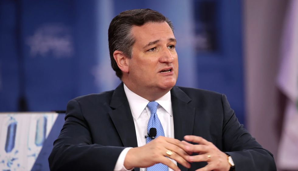 Blue Texas, at last? Here's why the real fight isn't for the White House