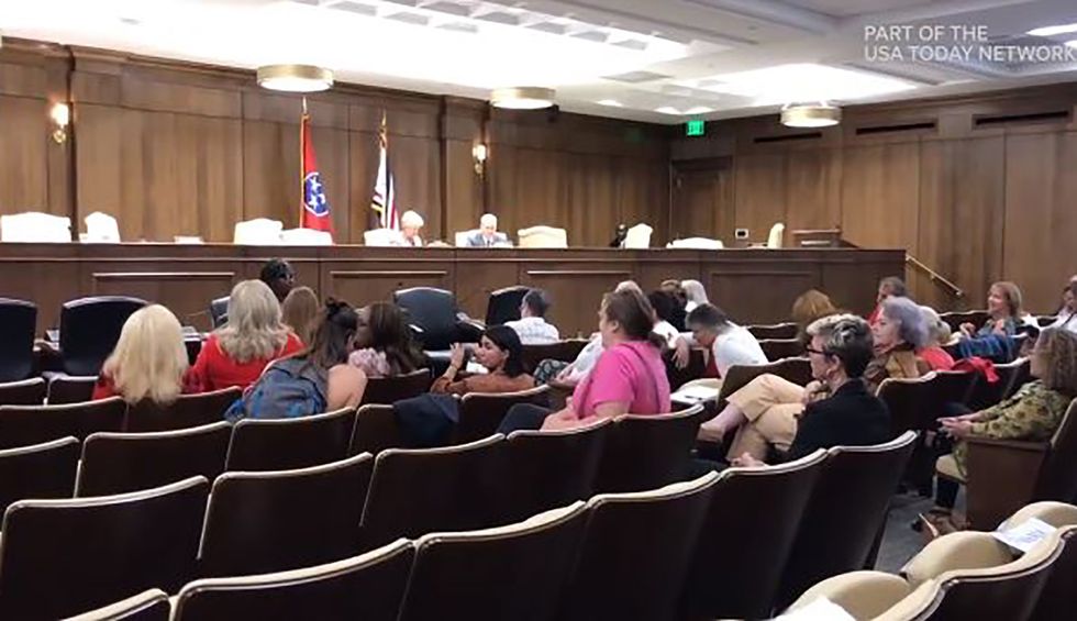 GOP lawmaker cut the mic on black woman’s facts — but let white men spew ‘lunacy and lies’: report