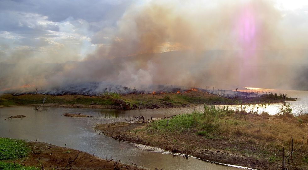 That 1970s scourge acid rain is back