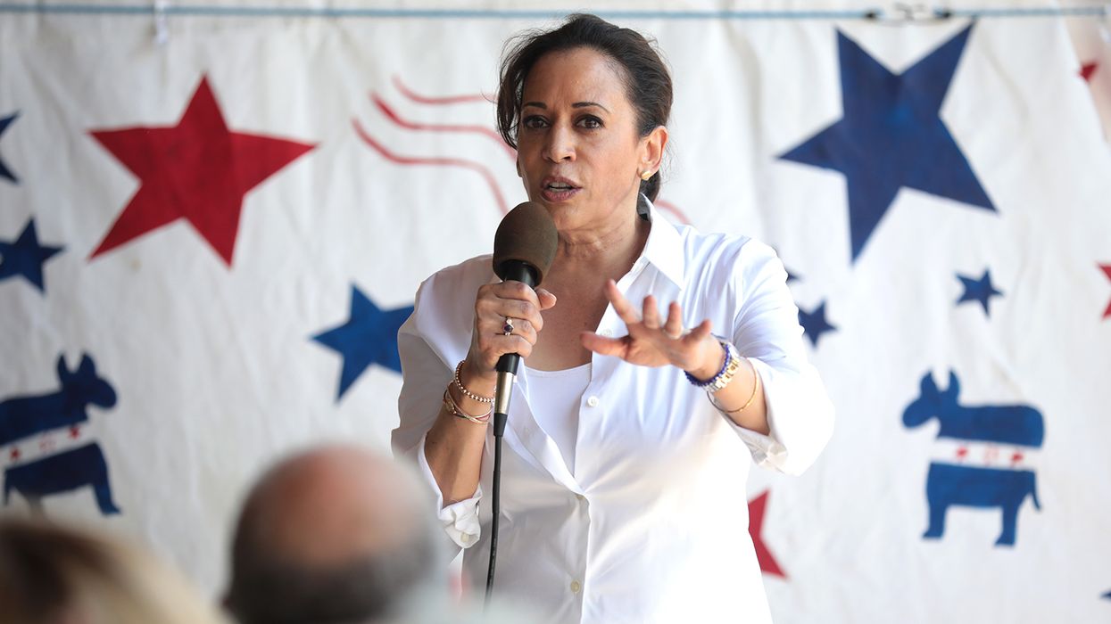 Harris could win the election by running up margins in these 9 counties: analysis