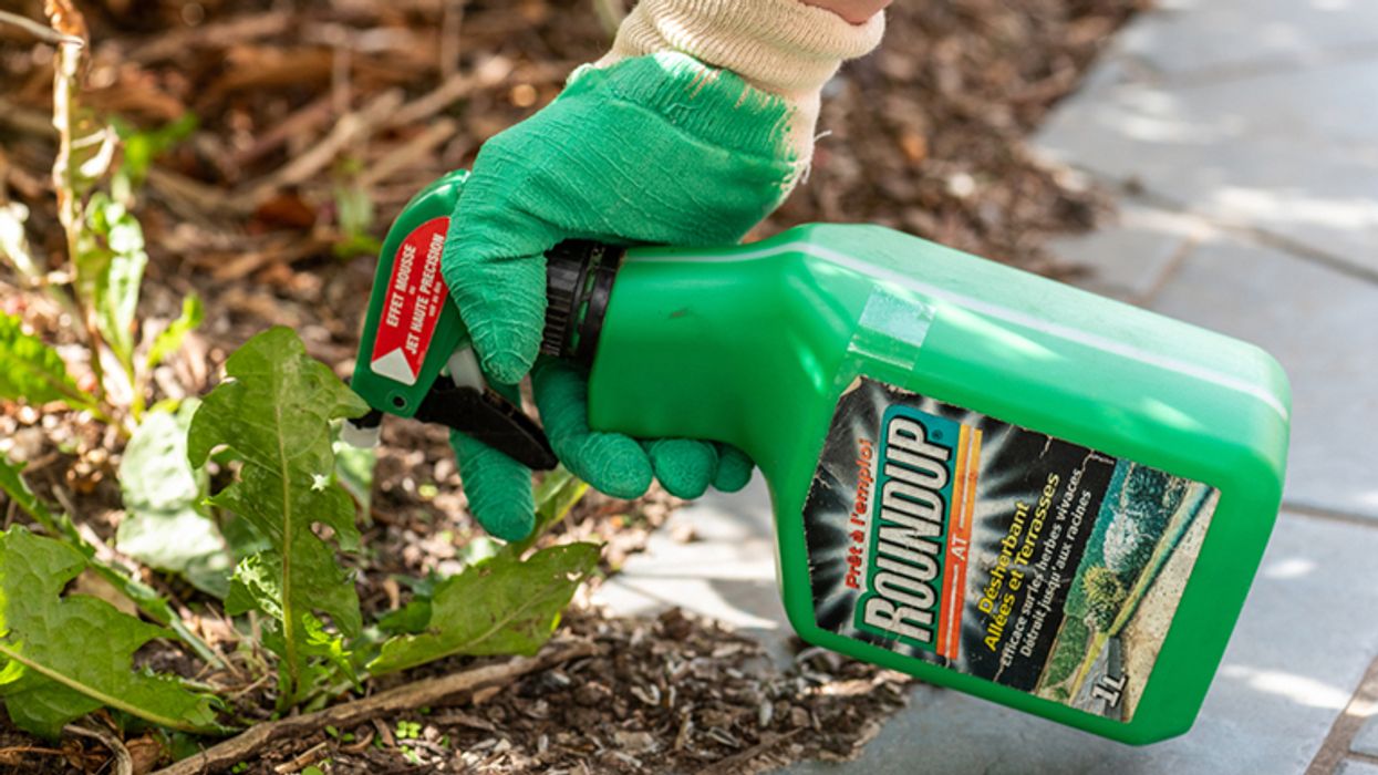 'Convinced': Scientists warn of the cancer risk from a popular weedkiller