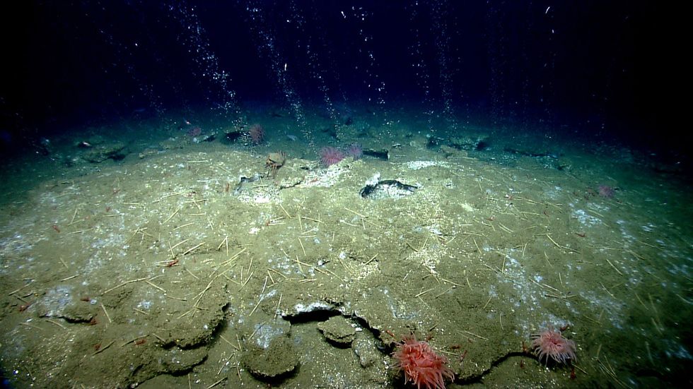 'Boiling with methane': Scientists reveal 'truly terrifying' sign of climate change under the Arctic Ocean