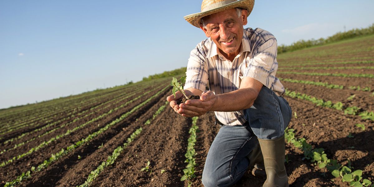 America s farmers are getting older Alternet org America s farmers are getting older Alternet org