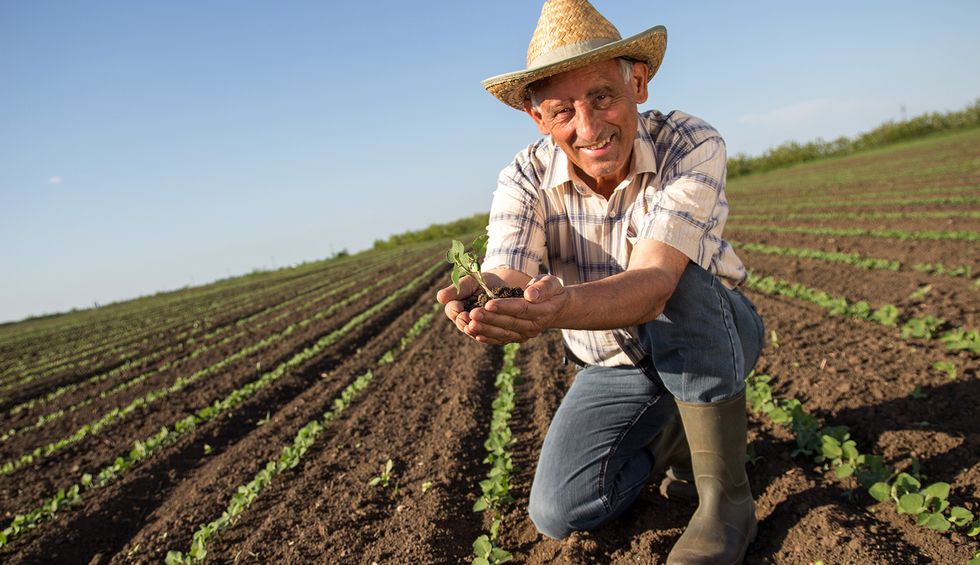 Iowa's farmers — and American eaters — need a national discussion on transforming US agriculture