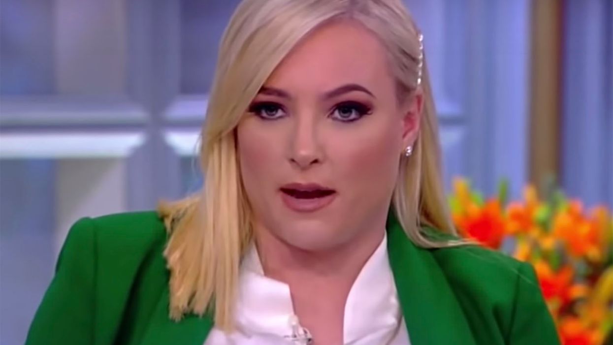 Did Meghan McCain just accuse 'View' cohost Ana Navarro of being a 'pretend' conservative?