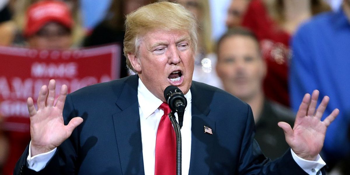 'Should not have learning disabilities': How Trump ableism to insult his foes