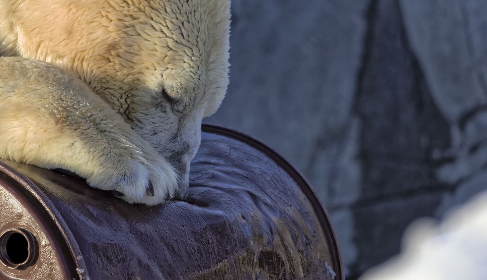 Trump’s reckless push to drill in the Arctic is meeting fierce opposition