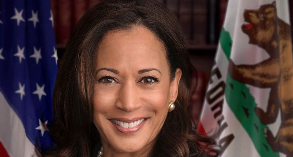 Kamala Harris picks the moderate, technocrat lane