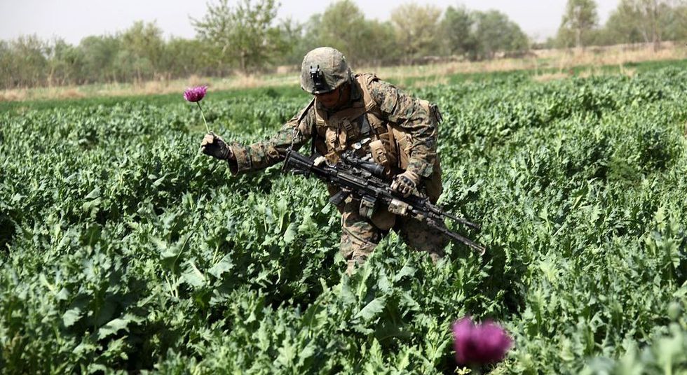 A universal appeal for humanity to end militarism and stop war