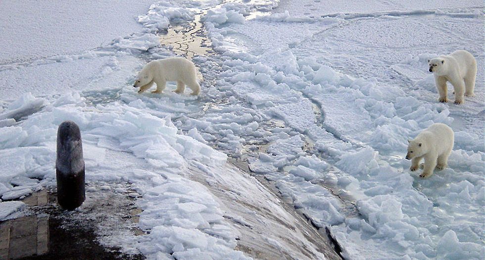 'That's a first': Sky-high temperatures in the Arctic Circle are terrifying climate experts