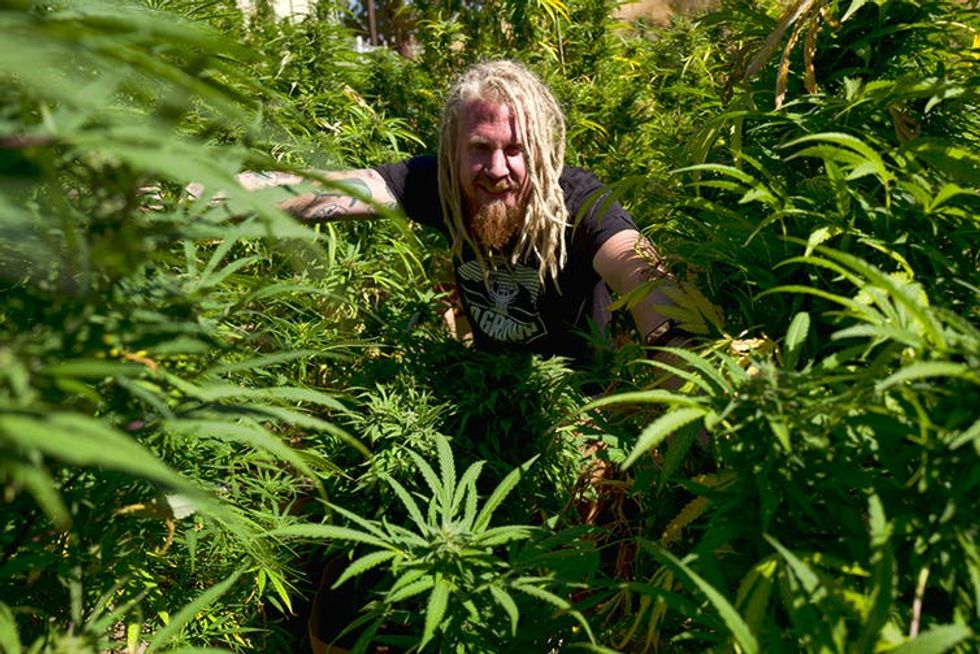 Can artisanal weed compete with ‘Big Marijuana’?