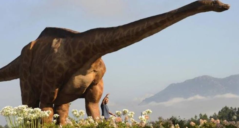 Mass extinction 252 million years ago may be a warning for today