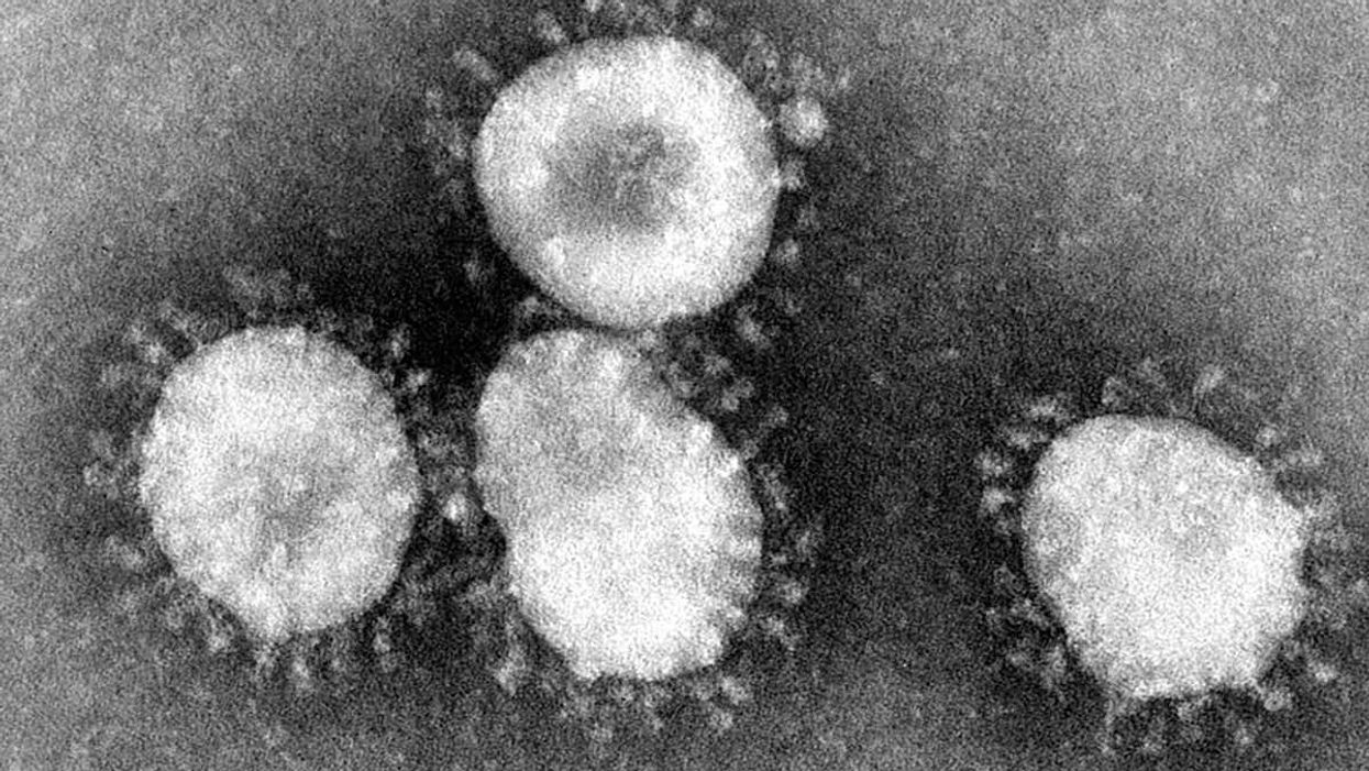 Blockbuster report delivers jaw-dropping revelations about potential origin of COVID-19