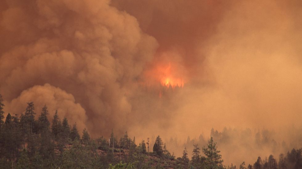 We're a nation run by arsonists — and there will be no firefighters to save us