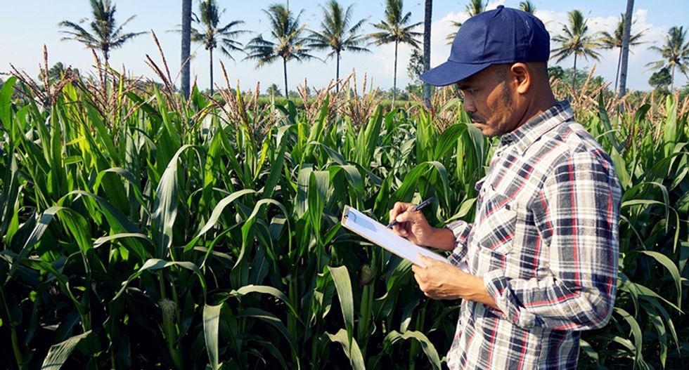 'Terrifying': There's a rapid loss of biodiversity that's placing global food supplies at risk of 'irreversible collapse'