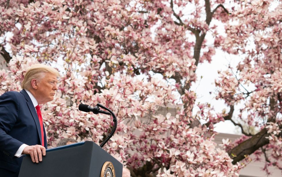 Here's the grim truth about our beautiful world in the age of Trump and the arsonists