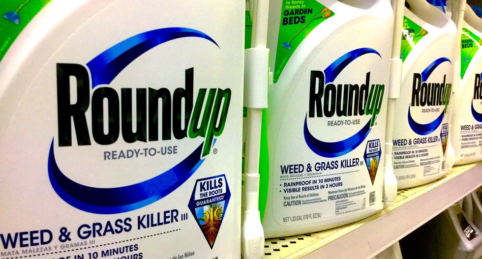 Another guilty verdict for Monsanto as jury finds weed-killer was a 'substantial factor' in causing man's cancer