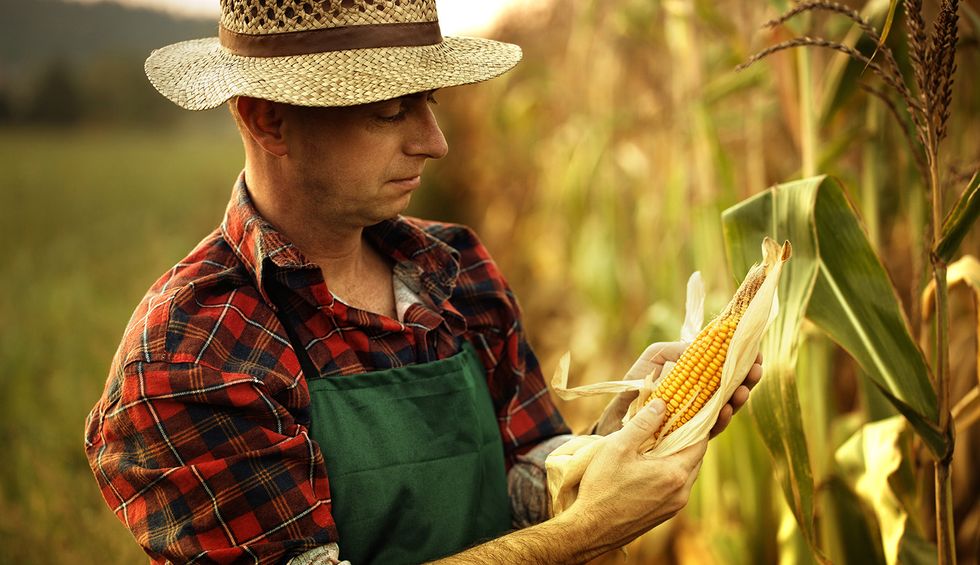 USDA's $19 billion in COVID-19 relief for farmers and food banks sparks serious questions about who will benefit