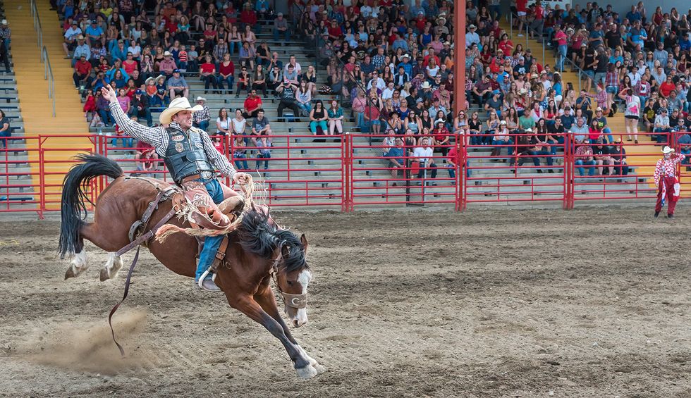Texas officials knew coronavirus could spread at the Houston rodeo. They proceeded with the event anyway