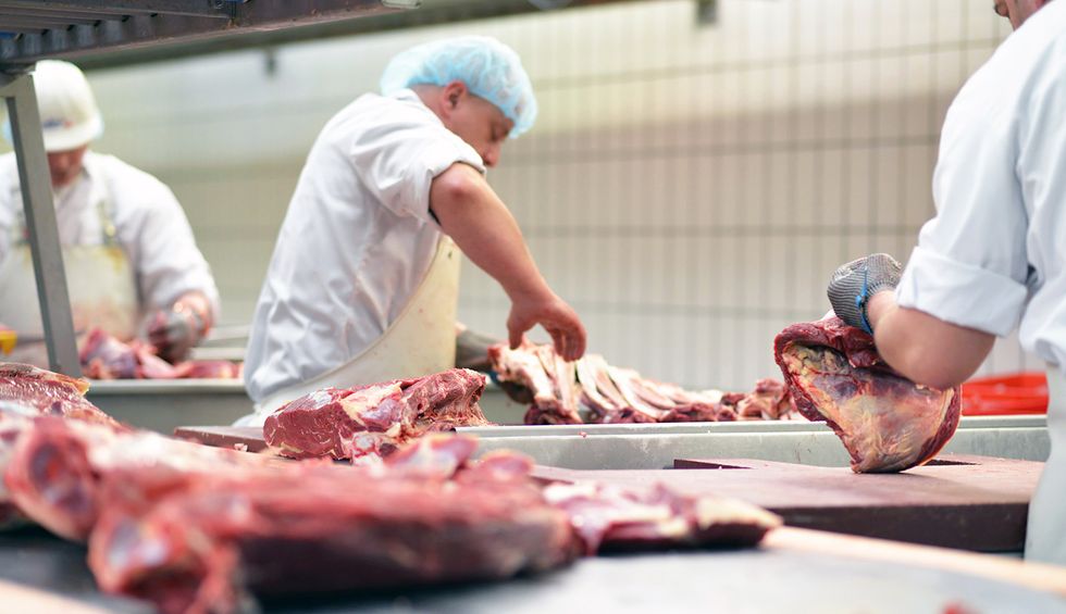 Trump's Agriculture Department backs giant COVID-ridden meatpacking firms over ranchers and feedlot operators