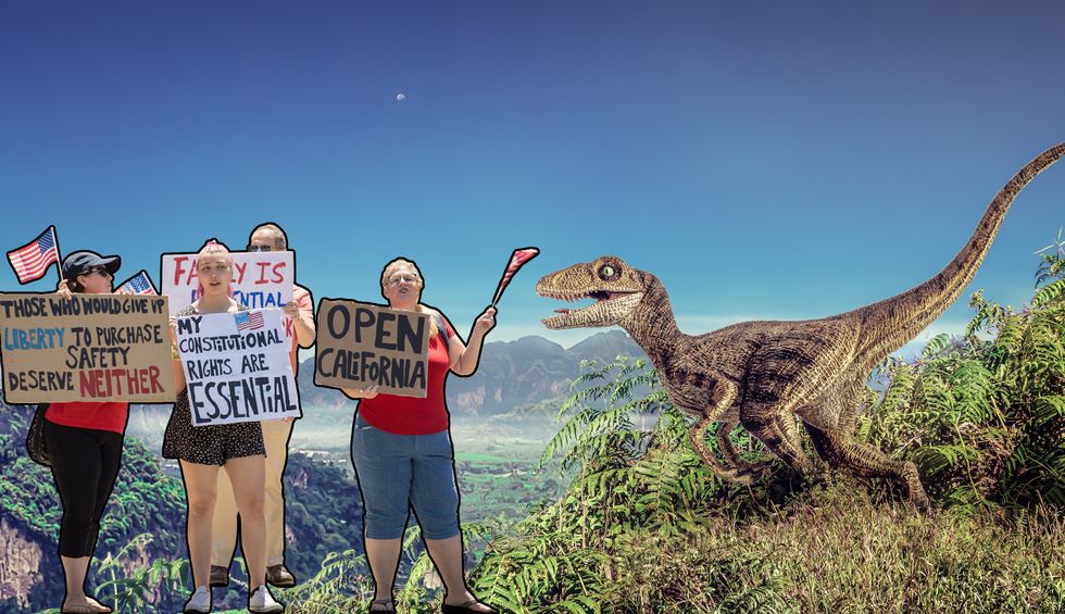 Filmmaker compares reopening the country to reopening Jurassic Park in brilliant essay: 'Life finds a way' — unless you're eaten by a velociraptor