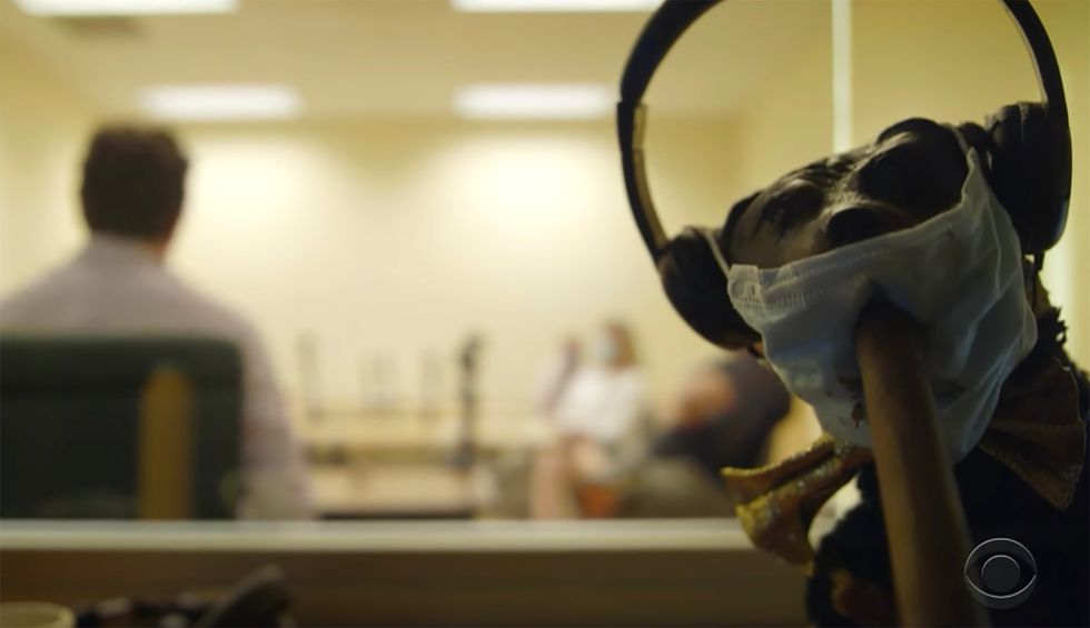 Watch: Triumph the Insult Comic Dog proves Trump supporters will defend anything the president says