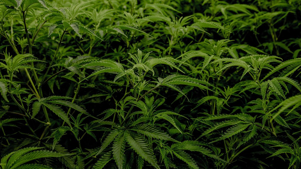Oregon just decriminalized all drugs – here’s why voters passed this groundbreaking reform
