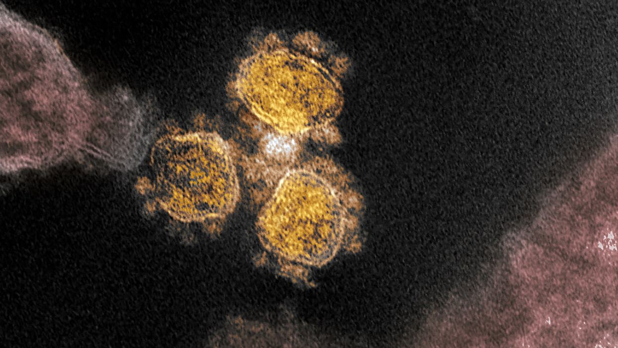 Nobel-prize winning CRISPR researchers say the technology could defeat coronavirus