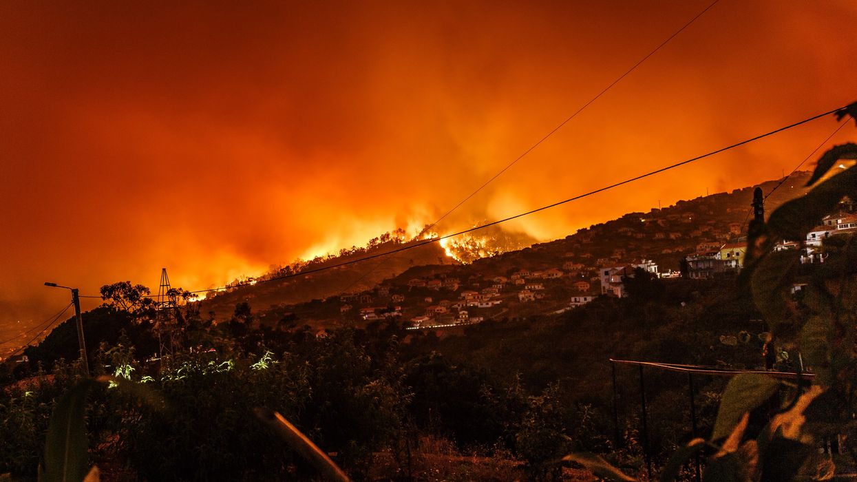 One in five countries at risk of ecosystems collapsing — here’s what that might look like