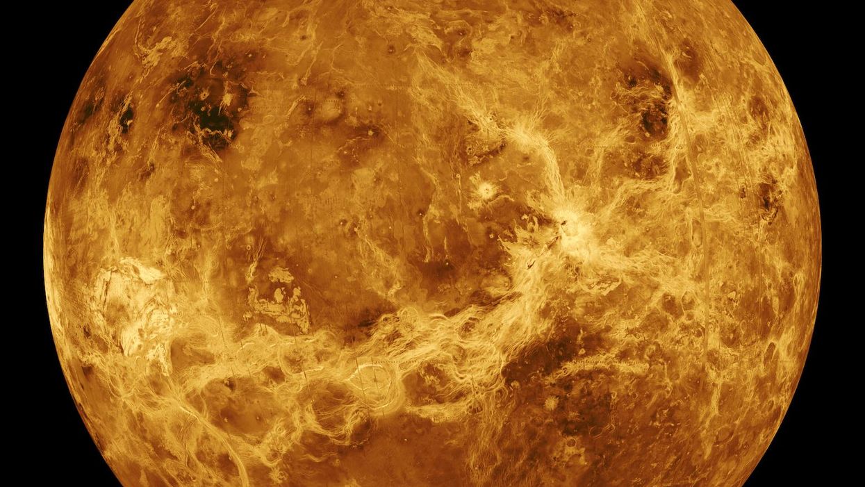 Venus used to be like Earth — then climate change happened