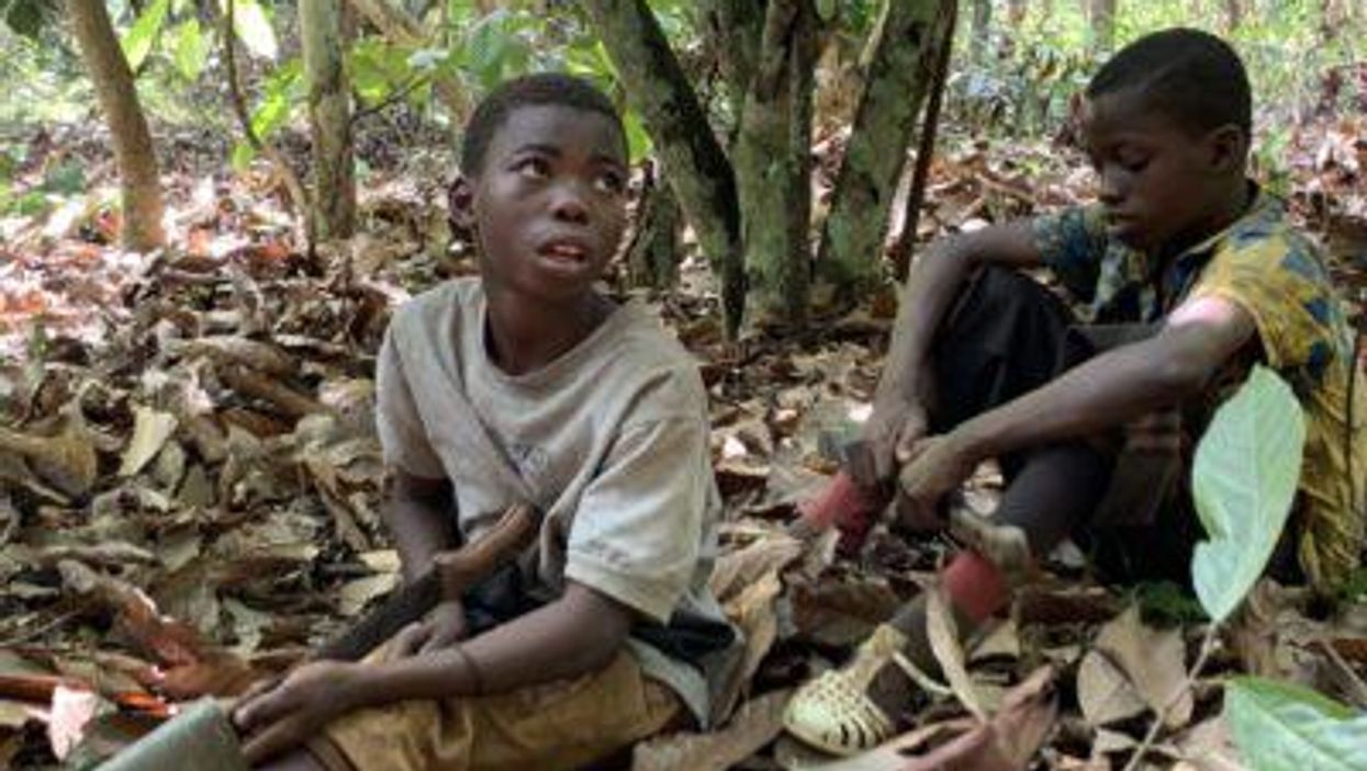 The 1.5 million child slaves behind your chocolate bar