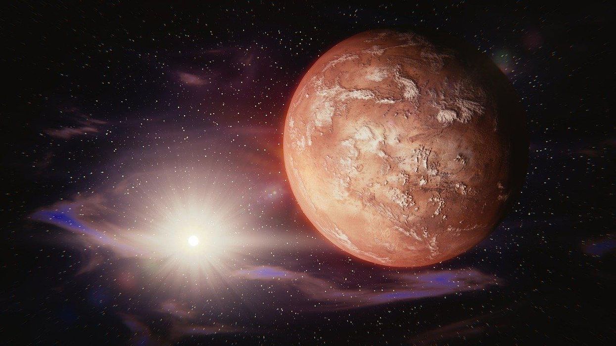 What would a martian look like?