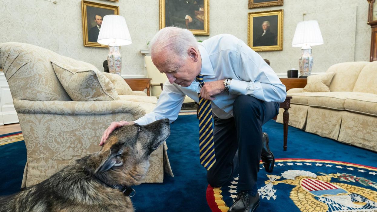 'People got the president they voted for': A fitting critique of Joe Biden's post-Roe response