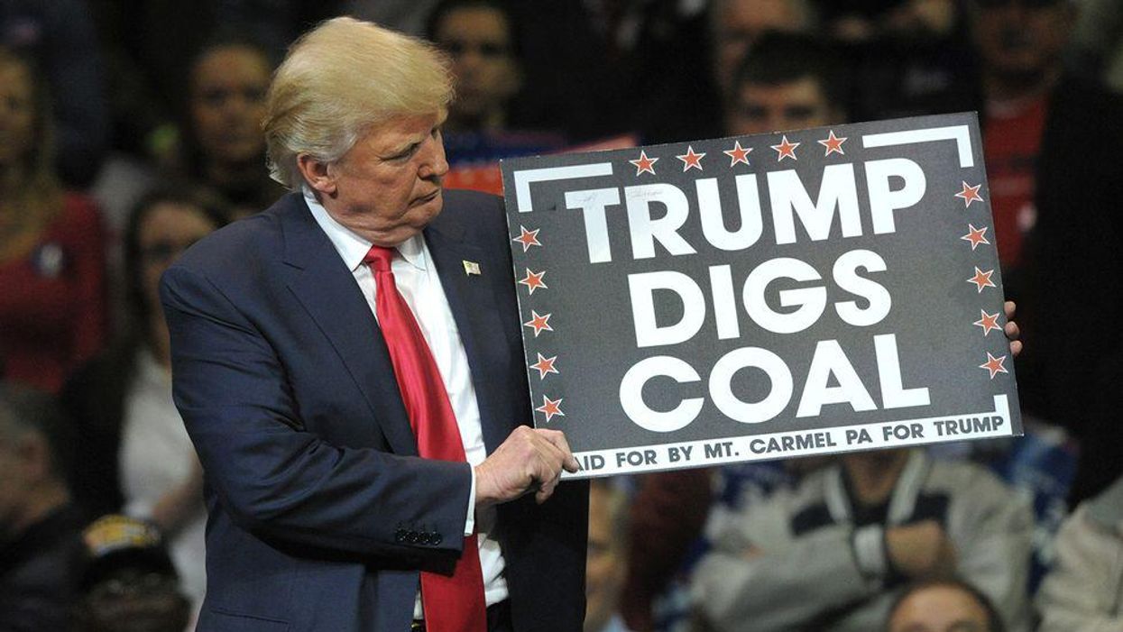 EPA to conduct unprecedented 'public accounting' of Trump's political attacks on science