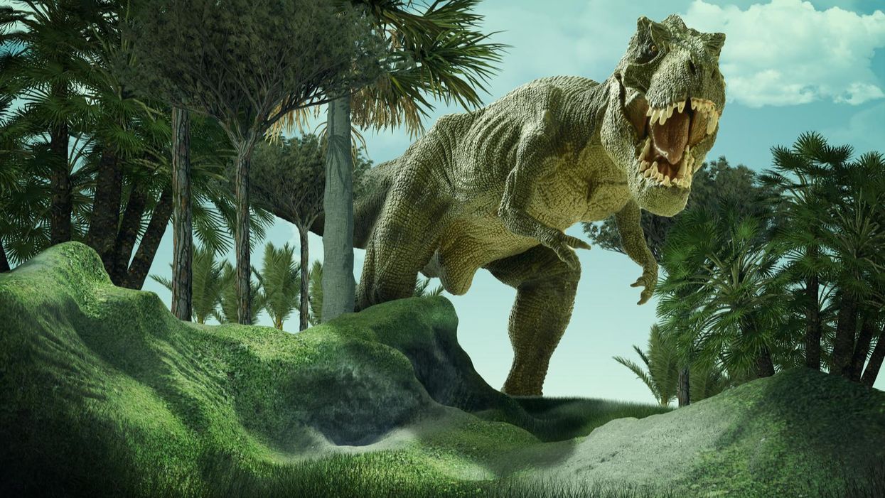 Scientists calculated how many T. Rexes lived on Earth — here's how