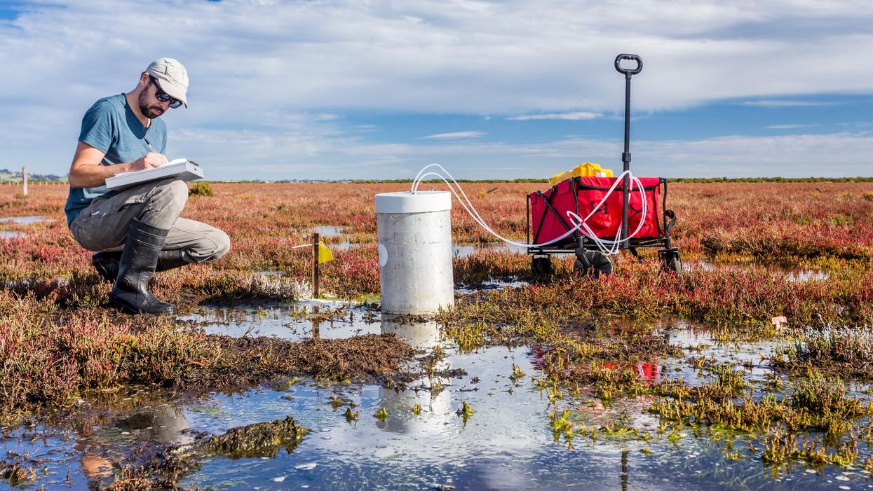 Slashing methane emissions must play larger role in fighting climate crisis: UN