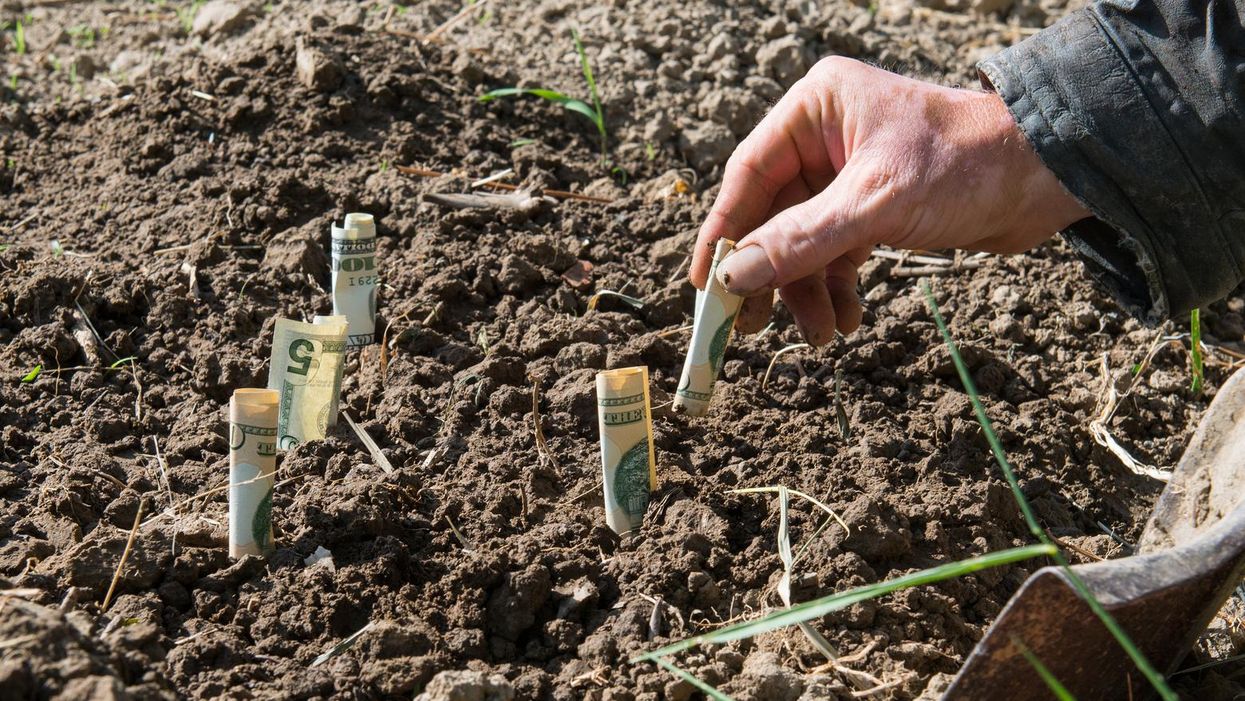 'Deely Nuts' and 'Beefy King': Hundreds of PPP loans worth $7 million went to fake farms in absurd places