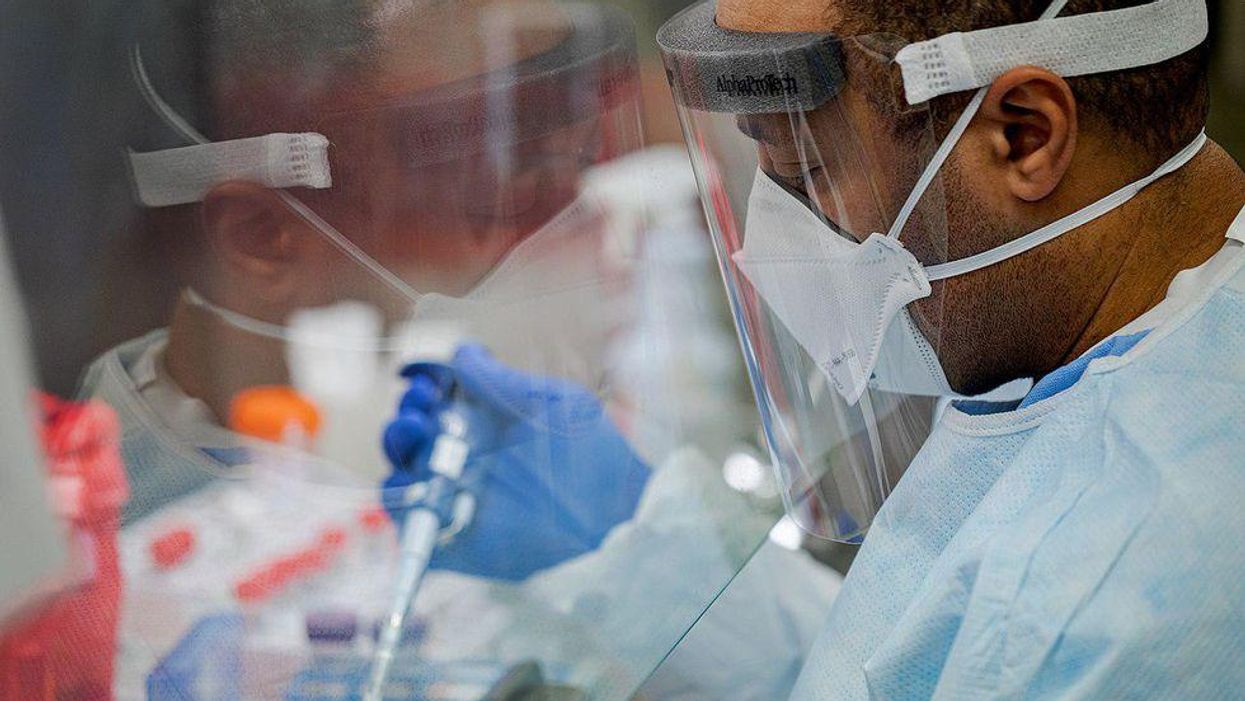 Research scientists identified 5,500+ new viruses in the ocean — including a missing link in viral evolution