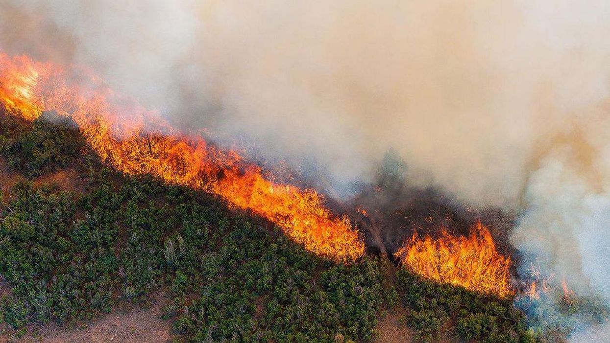 'Existential risk': Leaked IPCC climate report draft 'reads like a 4,000-page indictment' of humanity's failure