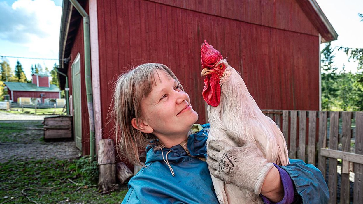 Why we should change how we talk about nonhuman animals